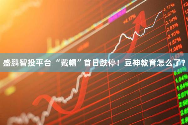 盛鹏智投平台 “戴帽”首日跌停！豆神教育怎么了？