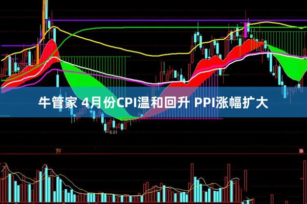 牛管家 4月份CPI温和回升 PPI涨幅扩大